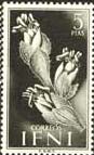 Ifni, 1954. Salsola Vermiculata. Sc. 71