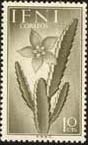 Ifni, 1954. Cactus. Sc. 67.