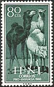 Ifni, 1960. Child Welfare. Camels. Sc. 89.